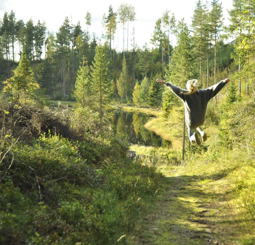 fald. Regionalt och lokalt kan överenskommelser skapas utifrån de förutsättningar och behov som finns i respektive område. http://overenskommelsen.