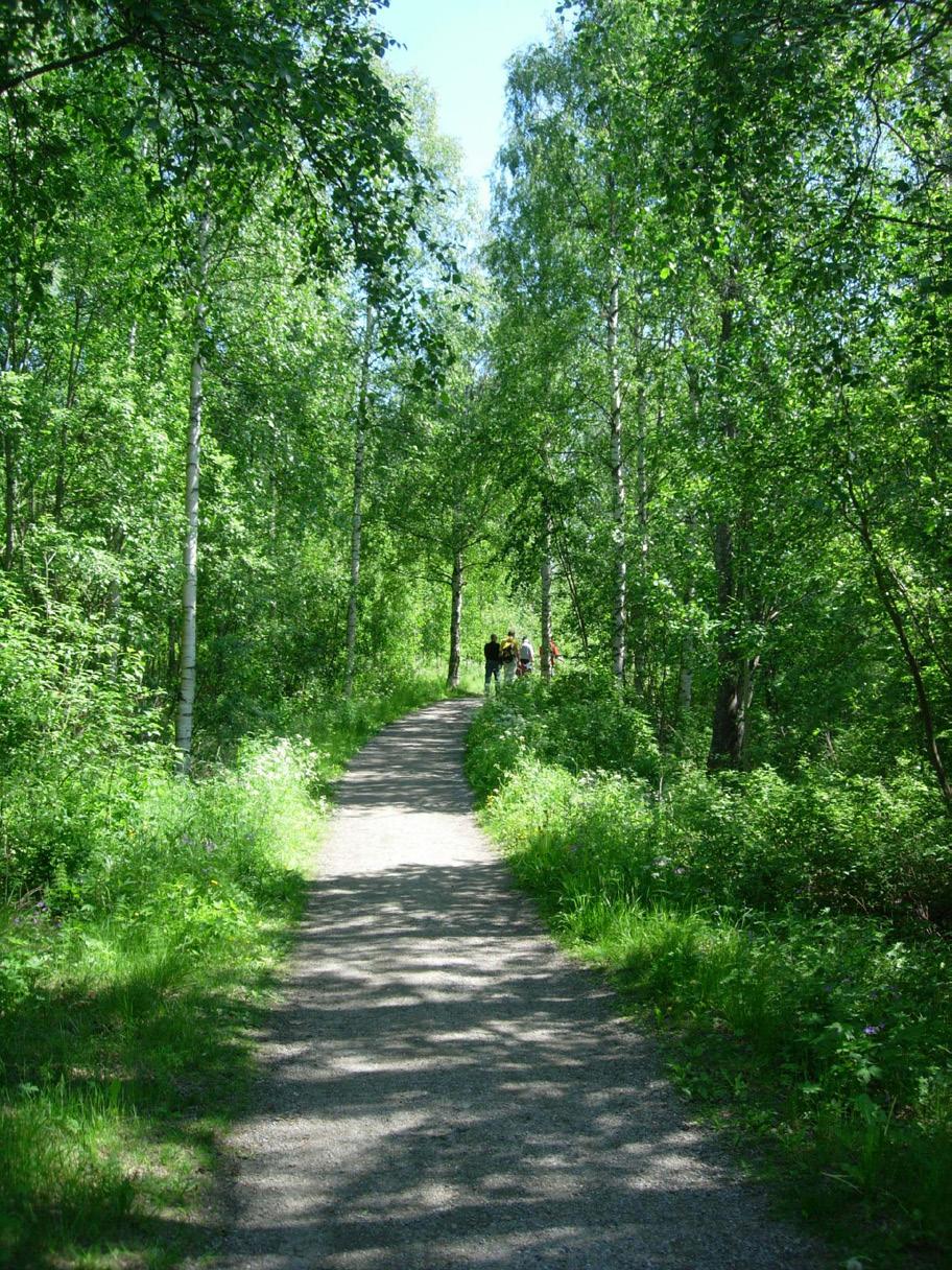 Bakgrund/nuläge De areella näringarna har stor betydelse för Örnsköldsviks kommun.