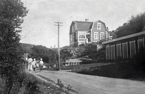 växthusen byggdes
