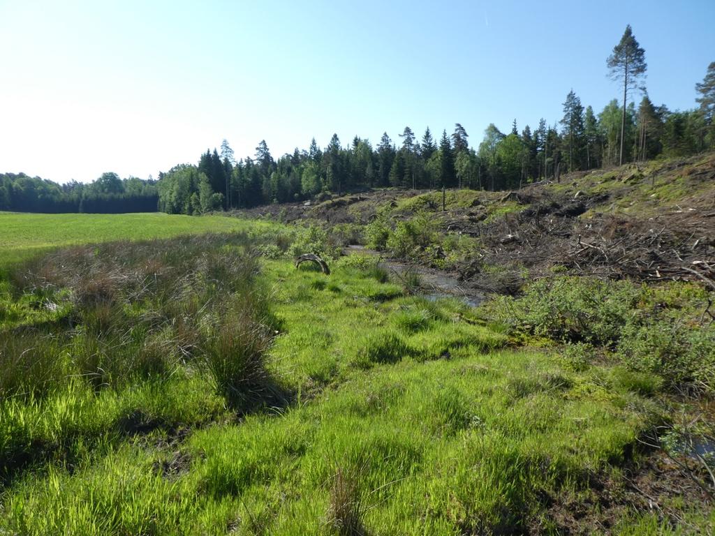 Vråssered, Göteborg 2018-06-15