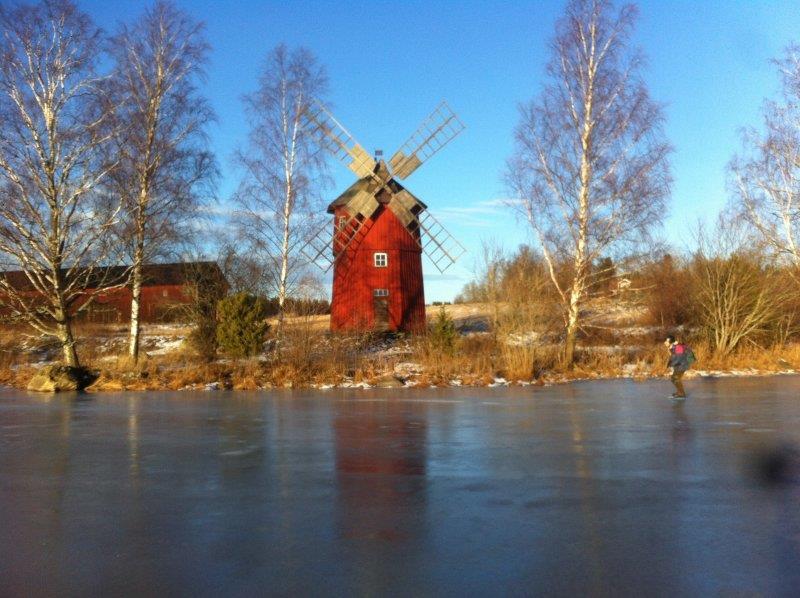 deltagarna ett vildsvin på väg ut på isen, som dock snabbt vände tillbaka in i vassen när han upptäckte att isen redan var upptagen av skridskoåkare.