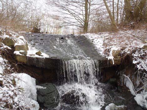 Lokalkoordinater X:6172636 Y:1344971 Typ: damm Användning: våtmark Vattendom: saknas Fallhöjd: 2,5 m Naturligt: nej Passerbarhet:
