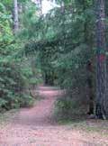 Andra leder i samma område: Grön 1,7 km, flack.