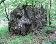 Göstorps skog Känns som en spännande