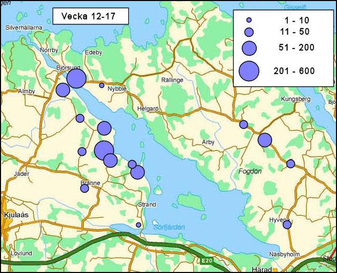 Veckorna 24 26 utgår på grund av ruggningsuppehållet. Resultaten sammanfattas i en karta för varje period. Lantmäteriet Gävle 2010. Medgivande I 2010/0055 Fig. 6. Vårbruk (vecka 12-17).