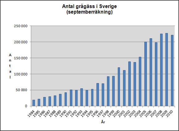 2.3 Utbredning, populationsutveckling och migrationsmönster Av grågåsen finns två underarter, varav en förekommer i nordvästra Europa och en har sitt utbredningsområde i Svarta Havsområdet och
