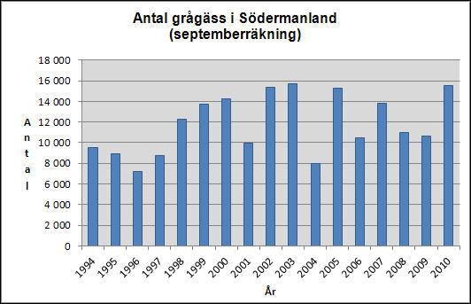 Fig.2. Resultat från septemberräkningar i Södermanland 6. 3 Grågässen vid Sörfjärden Den första konstaterade häckningen med grågäss vid Sörfjärden observerades 1977 7.