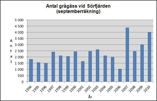 Ornitologerna i Eskilstuna och Strängnäs har deltagit i de nationella gåsräkningarna och samordnade årliga räkningar finns därför sedan 1994 vid Sörfjärden för september och oktober.