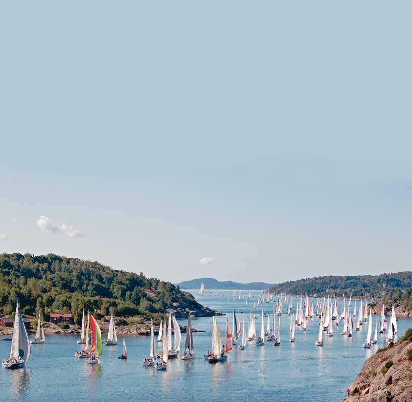 Tjörn Runt Cruising öppnar upp för nya seglare! Att ge sig på att segla kappsegling i Tjörn Runt, eller annan kappsegling, kan vara svårt för en oerfaren besättning.