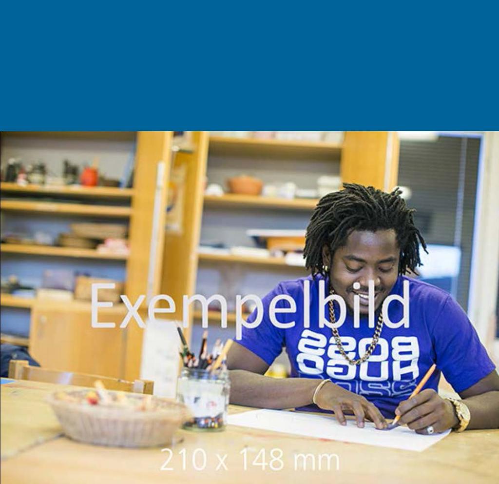 Regionens Hus 405 44 Göteborg Besöksadress:
