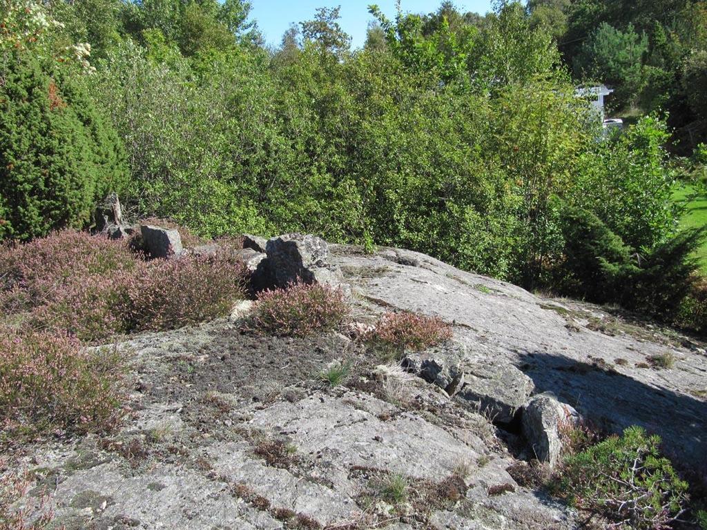 Längst i öster i delområde 6 ligger kantiga