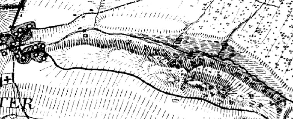 Bakgrund Historik Sjön Vassen är en uppdämd damm (ca 16 ha) som är reglerad och dämd till ett maximalt vattendjup på drygt 3 m ned till hårdbotten.