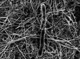 tillverkar filament; armering Sedimentationsbassängen Balans mellan