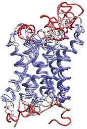 RÖTNINGENS MIKROBIOLOGI Protein Fett Kolhydrater Hydrolyserande