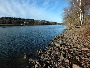 Vågsvall