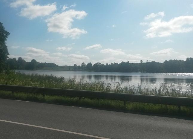 Vattendraget är näringspåverkat och enligt naturvårdsprogrammet är det allt brunare vattnet ett allt mer framträdande miljöproblem.