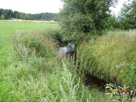 Biotopkarteringar i Säveån 2011-2012 BILAGA 2 Säveåns biflöden Huvudvattendrag: 108 Vattendragsnamn: Säveån Delvattendrag: Svartån Inventeringsdatum: 2011-07-25 Sträcka nr: 46 Start - stopp