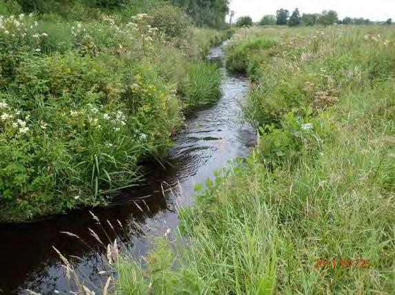 Biotopkarteringar i Säveån 2011-2012 BILAGA 2 Säveåns biflöden Åtgärdsbehov: Ja Åtgärdsförslag: Bäckens sträcka restaureras genom att tillsätta lekgrus och block.