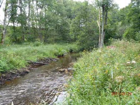 Biotopkarteringar i Säveån 2011-2012 BILAGA 2 Säveåns biflöden Närområde (1 30 m): Öppen ej hävdad våtmark (mad) 3, lövskog och buskar 2 Dominerande trädslag: Al, salix Omgivning: Öppen mark 3,