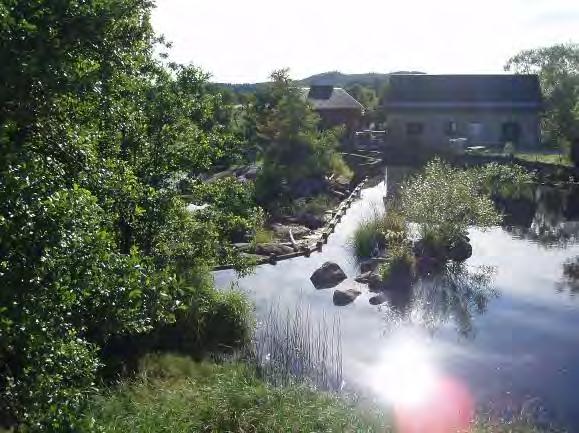 Biotopkarteringar i Säveån 2011-2012 BILAGA 1 Säveåns huvudfåra 2013-02-04 1.