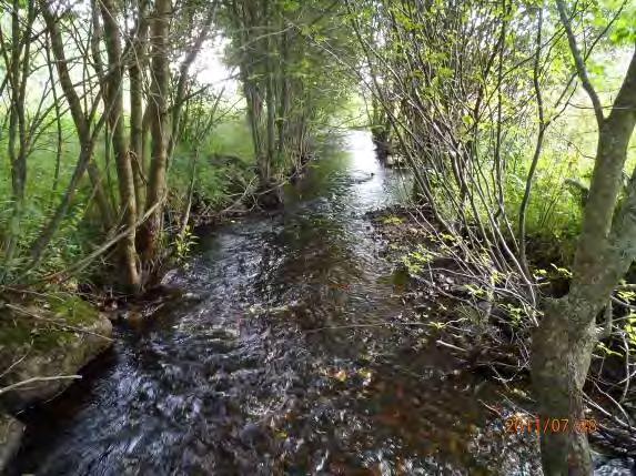 Biotopkarteringar i Säveån 2011-2012 BILAGA 2 Säveåns biflöden Maxdjup: 0,6 m Medeldjup: 0,15 m Dominerande substrat: Strömförhållande: Strömmande 3, svagt strömmande 2 Flöde: MQ Bäckstruktur:
