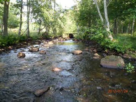 Biotopkarteringar i Säveån 2011-2012 BILAGA 6 elfisken 5 Lillån-Kvinnestadsbäcken Huvudvattendrag: 108 Säveån Delvattendrag: Kyllingsån Vattendrag: Lillå - Kvinnestadsbäcken Datum: 20120724