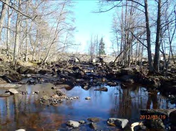 Biotopkarteringar i Säveån 2011-2012 BILAGA 1 Säveåns huvudfåra 2013-02-04 Sträcka 4. Lagmansholm Vårgårda Kvarn Längd: 6 771 m Beskrivning: En lång lugnflytande meandrande sträcka.