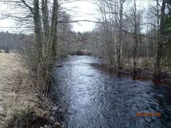 Biotopkarteringar i Säveån 2011-2012 BILAGA 1 Säveåns huvudfåra 2013-02-04 Gamla Häradsvadsbro Koordinater (start-stopp): 6428559:1320206