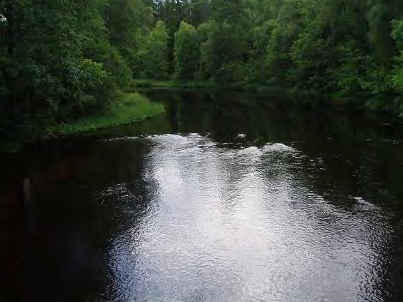 Biotopkarteringar i Säveån 2011-2012 BILAGA 1 Säveåns huvudfåra 2013-02-04 Ön Sörgården Koordinater (start stopp): 6427823:1322965 6427712:1323448 Längd: 707 m Beskrivning: Den översta delen av
