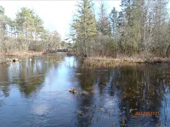 Biotopkarteringar i Säveån 2011-2012 BILAGA 1 Säveåns huvudfåra 2013-02-04 Ljur (Lida kraftstation) Koordinater: 6427937:1324021