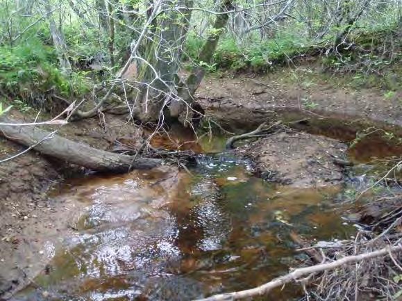 Biotopkarteringar i Säveån 2011-2012 BILAGA 2 Säveåns biflöden Strömförhållande (0 3): Strömmande 3 Flöde: 1 2, LQ Bäckstruktur: Starkt ringlande Dominerande vattenvegetation (0 3): Fontinalis 1,