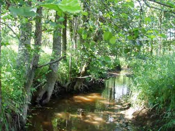 Biotopkarteringar i Säveån 2011-2012 BILAGA 2 Säveåns biflöden Strukturelement: Vandringshinder H16, grusvägbro B22, dike D25 och täckdike D26 Beskrivning: Bäcken rinner genom en brant dalgång som