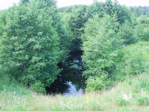Strömförhållande: Svag strömmande 3 Flöde: 2 Bäckstruktur: Starkt ringlande, diken D41, D42 Dominerande vattenvegetation (0 3): Rotade och/eller amfibiska övervattenväxter 1, undervattenväxter med