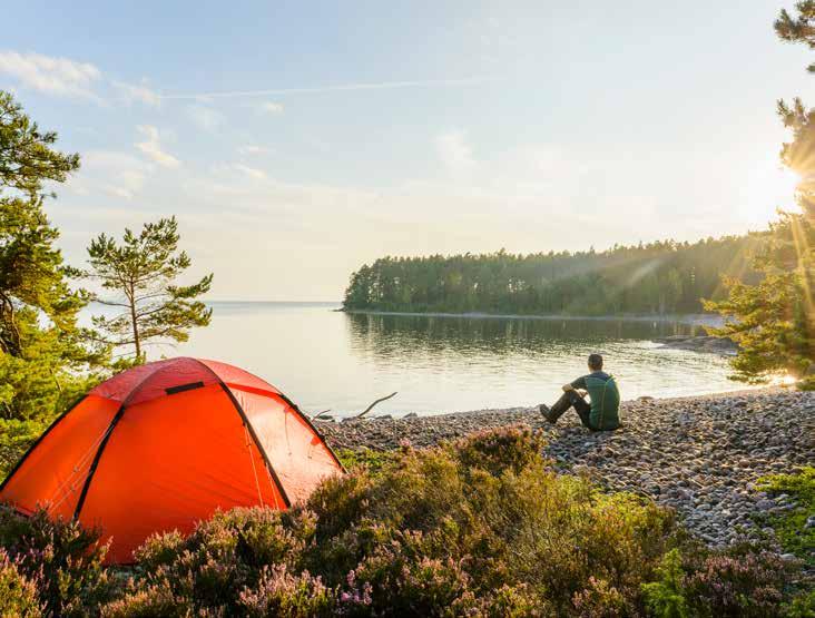 Vad händer i Vänern?