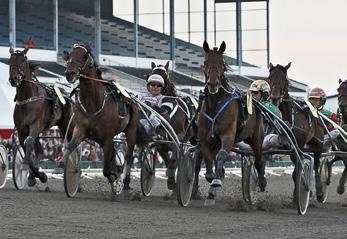 Storlopp FYRA- och femåriga varmblod Solvalla Grand Prix (gr. II Int.) Solvalla 24 nov. Lätt bana. 1.000.000 kr. 2140 m. Auto. 1. Juggle Face 14,0 500.000 47 Sundberg Hans-Owe 2.