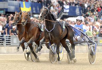 Storlopp Äldre varmblod Elitloppet, försök 1 Solvalla 30 maj. Lätt bana. 425.000 kr. 1609 m. Auto. 1. Ilaria Jet* (IT) 11,2 * 250.000 134 Bazire Jean Michel 2. Triton Sund 11,3 100.