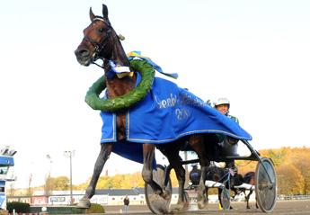 STORLOPP äldre varmblod svenskt mästerskap (Gr. II nat.) Åby 16 okt. Lätt bana. 760.000 kr. 2640 m. Auto. 1. Torvald Palema 13,8 400.000 20 Svanstedt Åke 2. Yarrah Boko* 13,9 200.