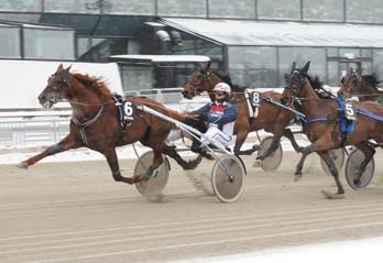 Storlopp Äldre varmblod konung carl xvi gustafs silverhäst (gr. ii int.) Solvalla 26 dec. Lätt bana. 590.000 kr. 2140 m. Auto. 1. Jaded 14,1 300.000 20 Kihlström Örjan 2. Global Investment 14,1 150.