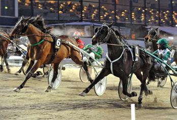 Annicka 14,4 228 Westholm Jörgen 0. Marshland 14,5 141 Takter Johnny 0. Acclaim 14,6 195 Eriksson Sören 0. Access Tooma 15,1 685 Hanné Tommy Segrare: Hingst 8 år e. Express Ride-Enough is Enough.