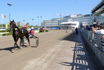 gulddivisionen, final (gr. ii int.) Solvalla 13 feb. Lätt bana. 605.000 kr. 2140 m. Auto. 1. Copper Beech* (DE) 14,2 300.000 60 Lugauer Conrad 2. Colombian Necktie 14,4 150.000 54 Kihlström Örjan 3.