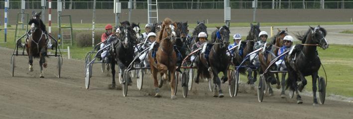 STORLOPP FYRAåriga kallblod Svenskt kallblodsderby 2006 Svenskt Kallblodsderby Östersund 8 aug. Lätt bana. 800.000 kr. 2140 m. Auto. 1. Norheim Faksen* (NO) 25,9 400.000 16 Solberg Tom Erik 2.