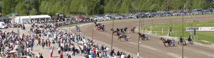 översikt hästar, starter och prispengar Antal registrerade kallblod, antal startande, antal starter och utdelade prispengar. treåringar Svenska 241 71 6,5 376 2.933.900 Utlandsregistrerade 20 48 752.