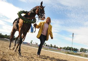 STORLOPP FYRAåriga varmblod Svenskt Travderby (Gr. I nat.) Jägersro 5 sep. Lätt bana. 3.200.000 kr. 2640 m. Auto. 1. Joke Face 13,6 1.600.000 47 Adielsson Erik 2. Zorro Photo* 13,8 800.