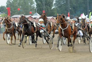 Ägare: Knutsson Trotting AB, Göteborg. Uppfödare: Knutsson Trotting AB, Göteborg. Tränare: Kolgjini Lutfi, Veberöd. Tot.oms: 1.638.867 kr. Odds: 19,14. Plats: 4,42-5,22-9,27. Tvilling: 168,20.