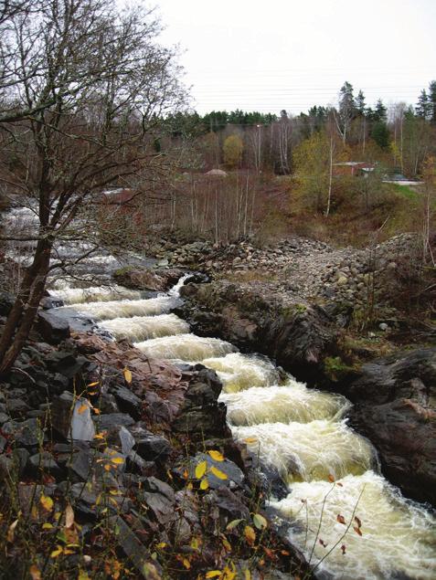 5 (8) Besök från Mjösas vattenvårdsförbund 6-7 november Den 6-7 november fick förbundet besök av Mjösas vattenvårdsförbund.