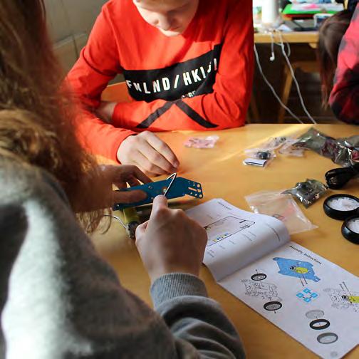 Mindre internationella utbyten har gjorts där några ungdomar eller ledare från en region besökt en av de andra organisationerna för att delta i någon gemensam aktivitet.