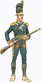 Speciell utrustning för vissa förband Livregementets lätta infanterikår (ett kompani) 1802 fick kompaniet en hatt med grön tagelliggare och plym.
