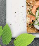 Änglamark.