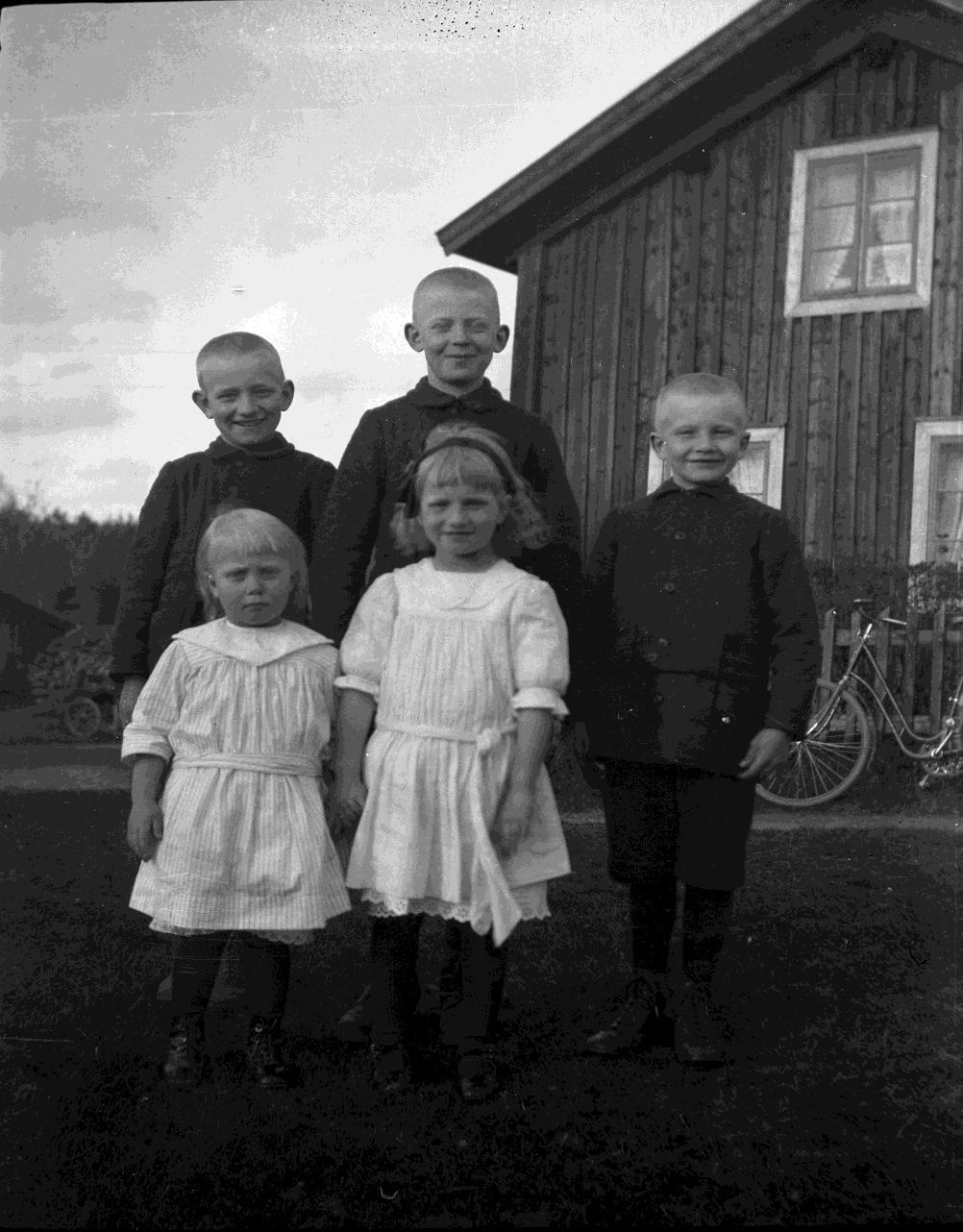 Ytterligare syskonbarn finns på den här bilden (214). Pojkarna från vänster Harry och Martin från Gisslabo (barn till Johan) samt Bertil Augustinsson.