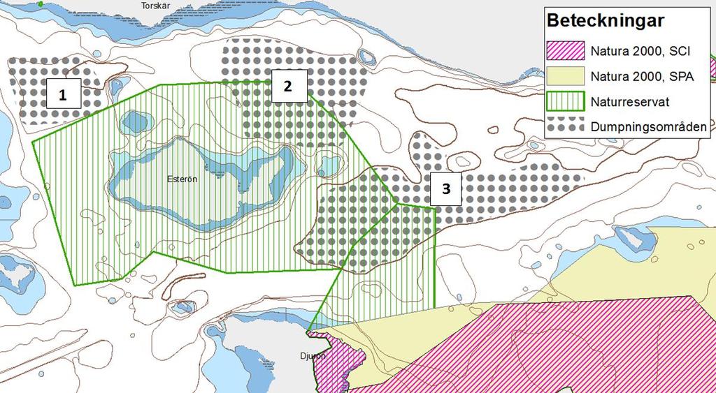 2.2 Arter noterade i vattenområdet kring Esterön Tre områden kring Esterön utreds angående möjligheterna att dumpa muddermassor där.